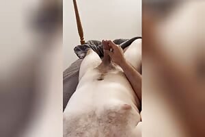 POV Playing with my uncut cock and ruining my cumshot