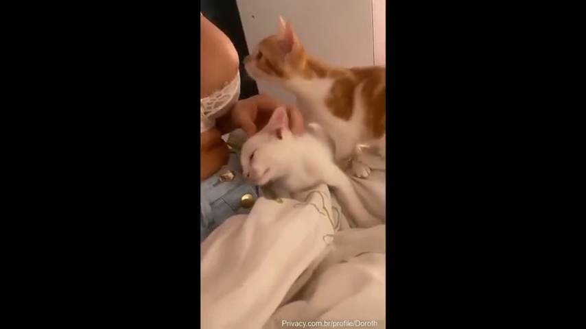 Caiu na Net Mc Pipokinha peladinha com seus bichinhos de estimação